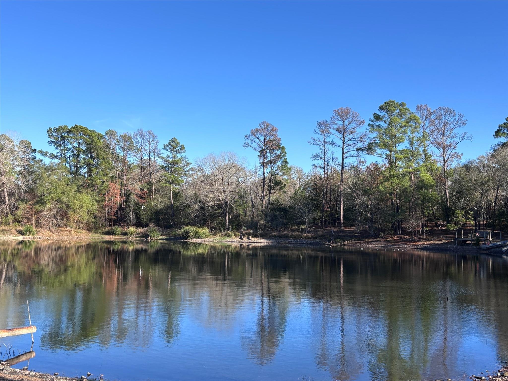 987 Stephen Ln, La Grange, TX 78945