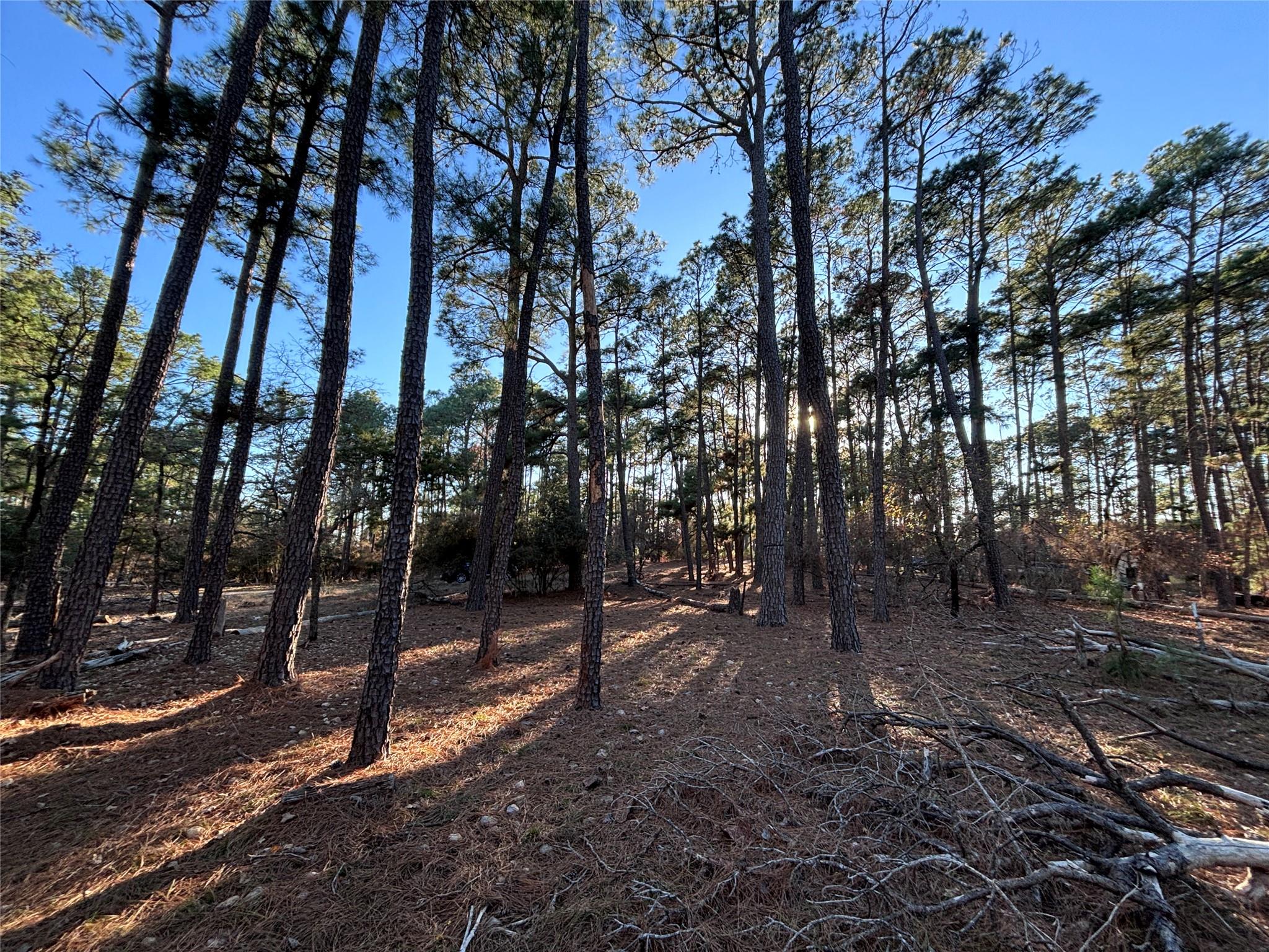 987 Stephen Ln, La Grange, TX 78945