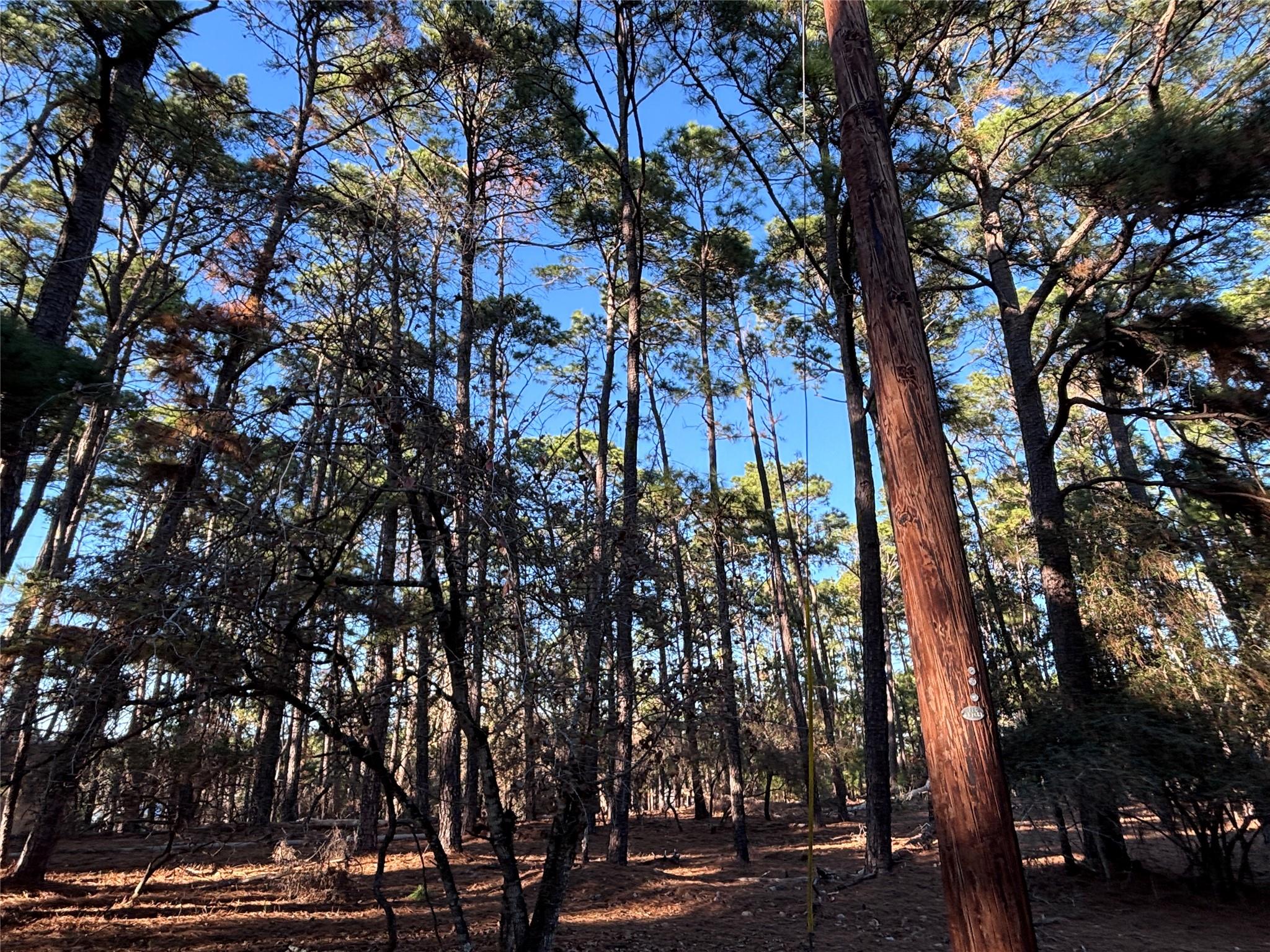 987 Stephen Ln, La Grange, TX 78945