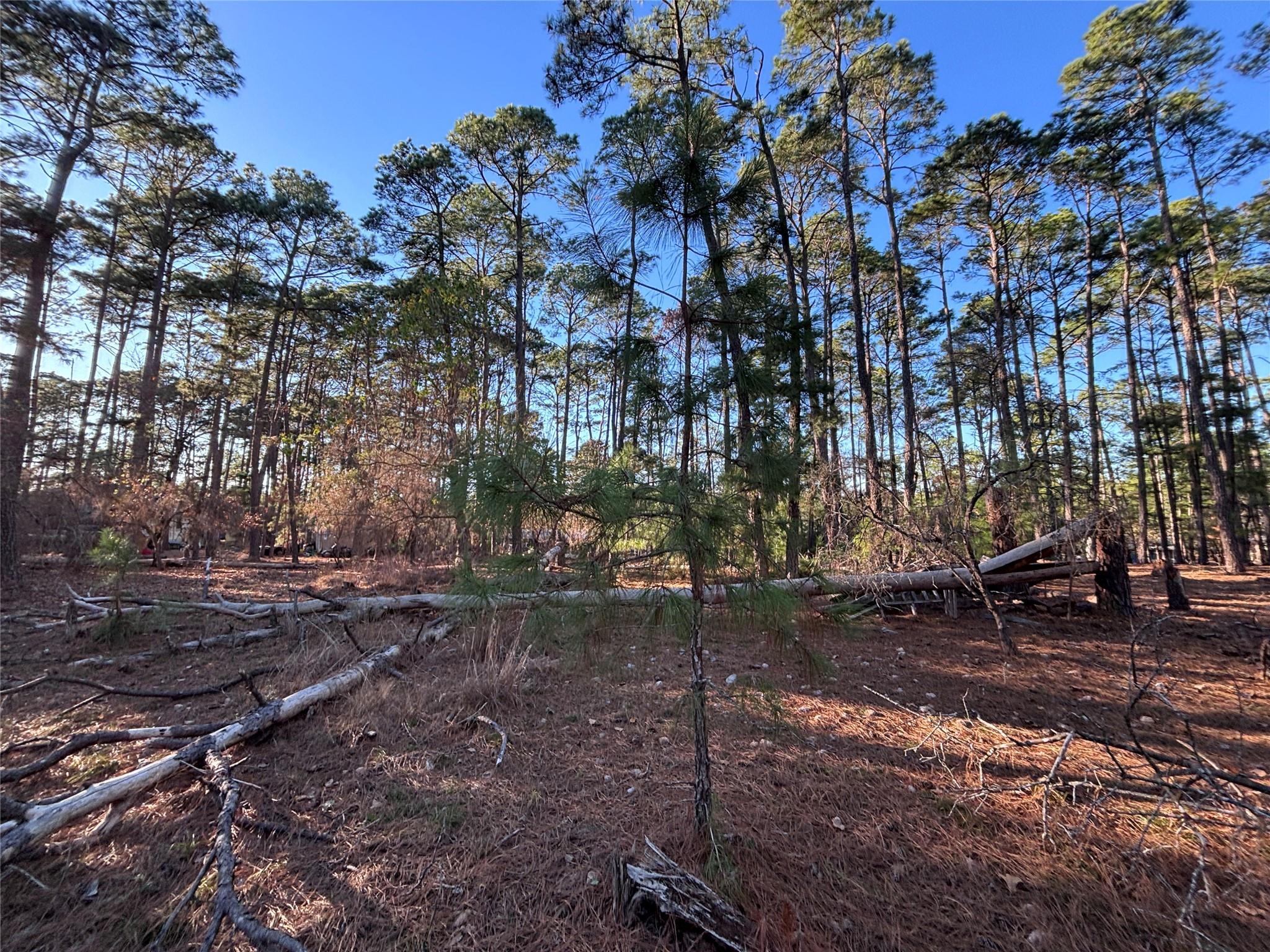 987 Stephen Ln, La Grange, TX 78945