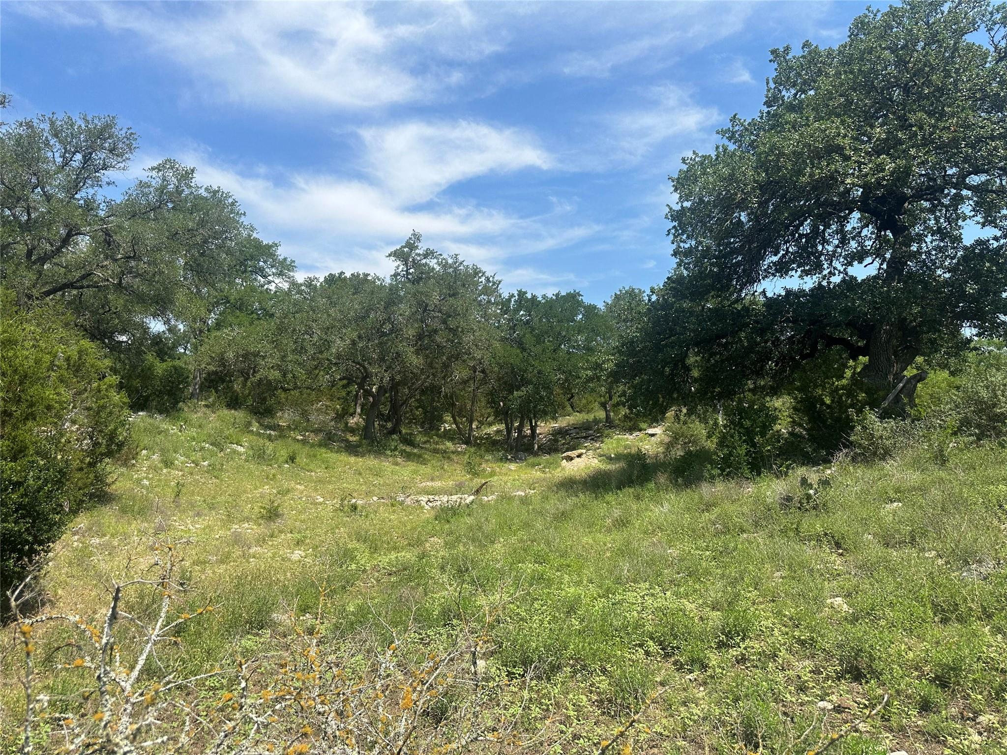 543 Narrows Rd, Blanco, TX 78606
