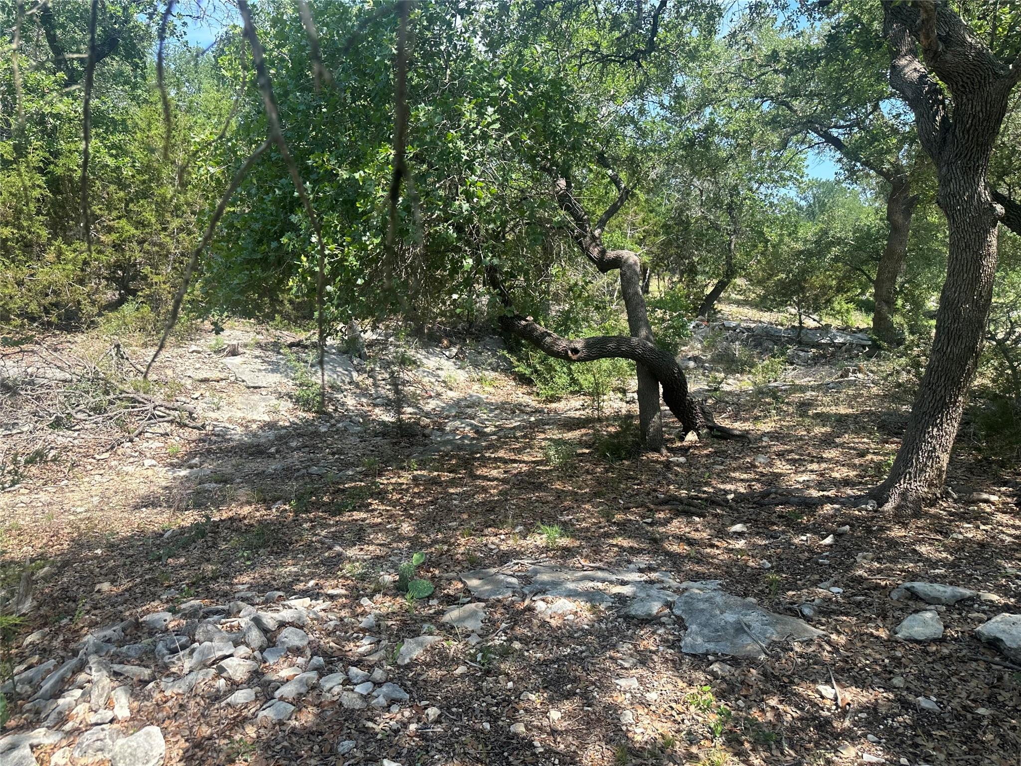 543 Narrows Rd, Blanco, TX 78606