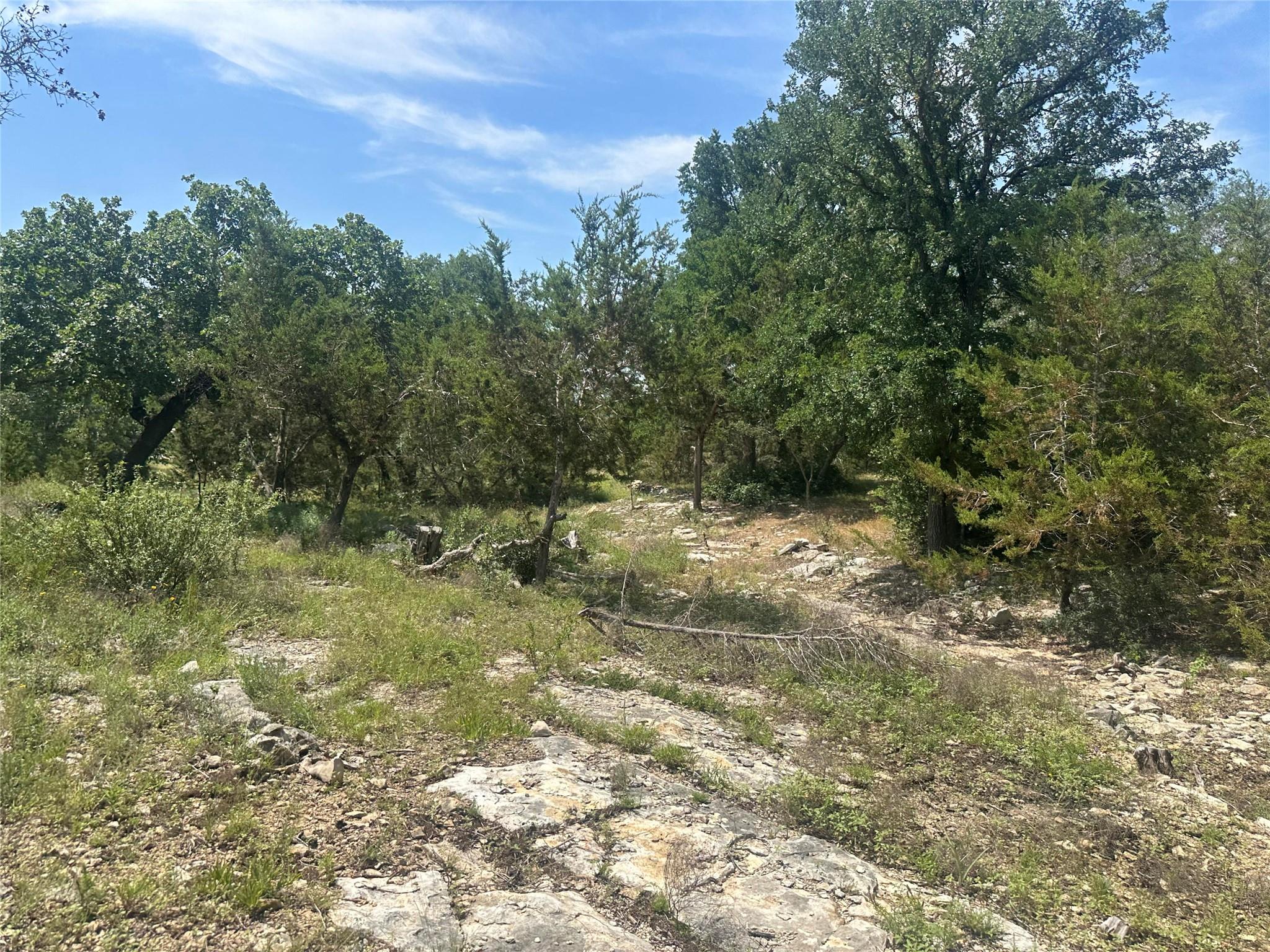 543 Narrows Rd, Blanco, TX 78606