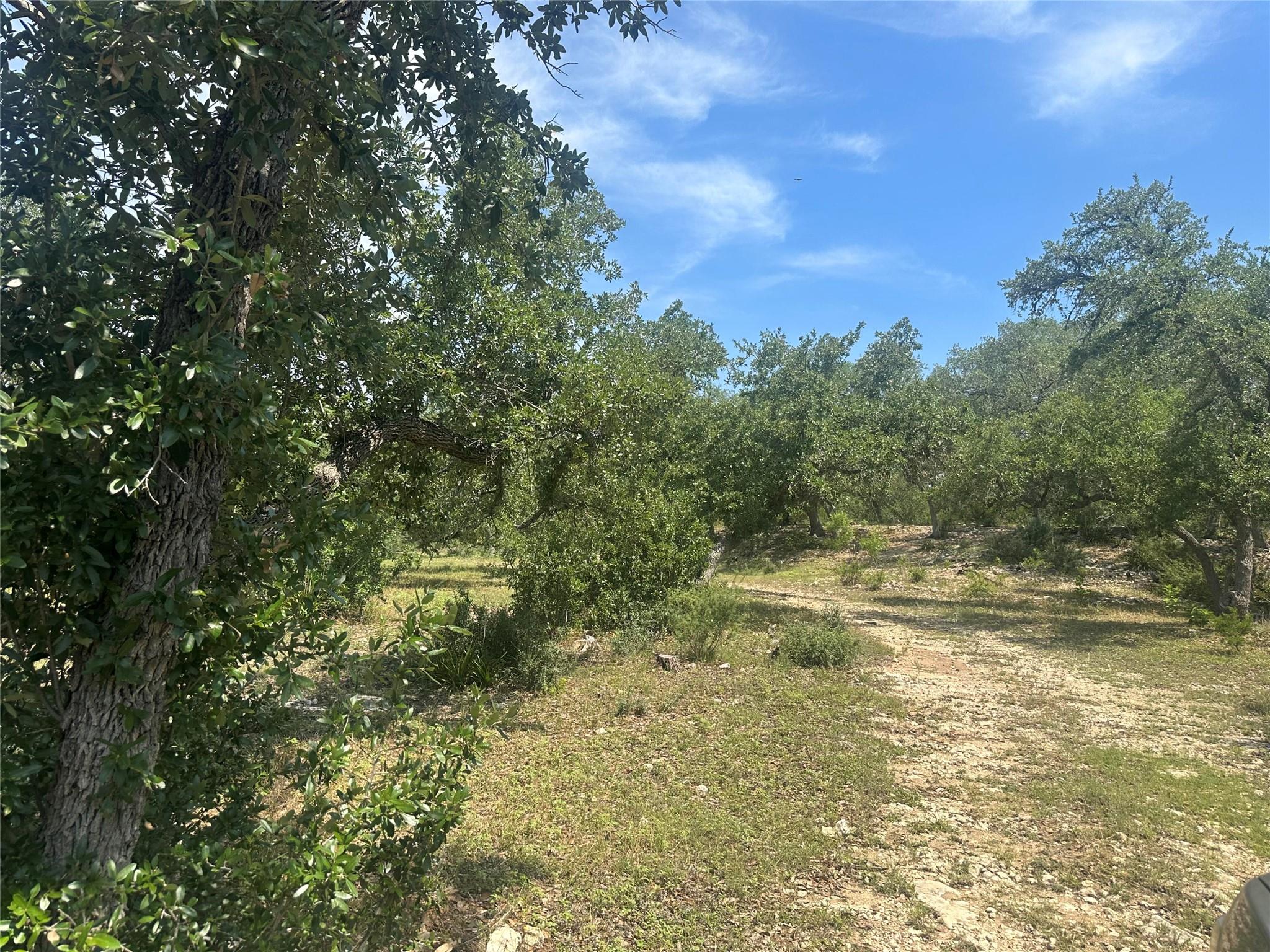 543 Narrows Rd, Blanco, TX 78606