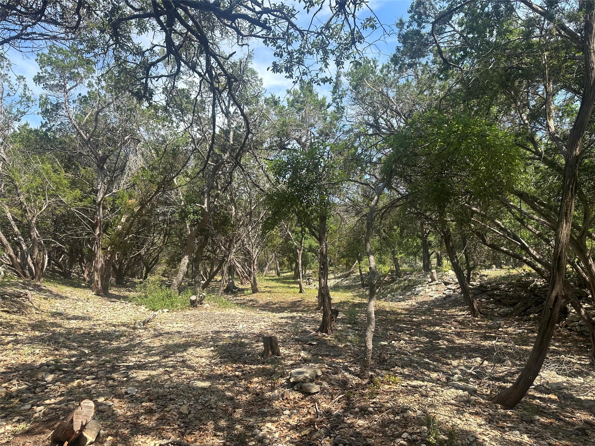 543 Narrows Rd, Blanco, TX 78606