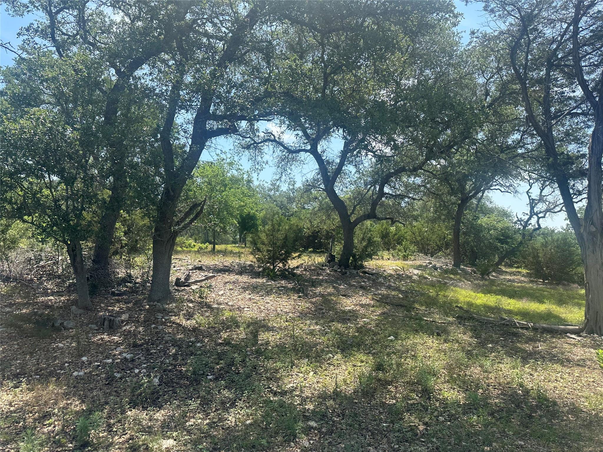 543 Narrows Rd, Blanco, TX 78606