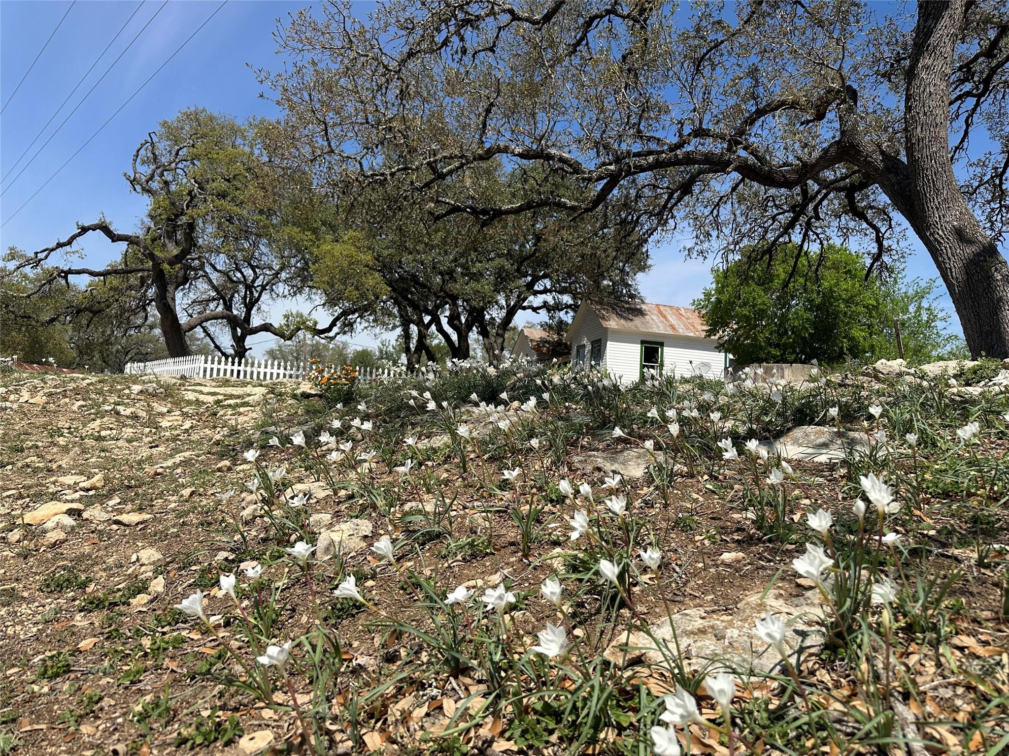 543 Narrows Rd, Blanco, TX 78606