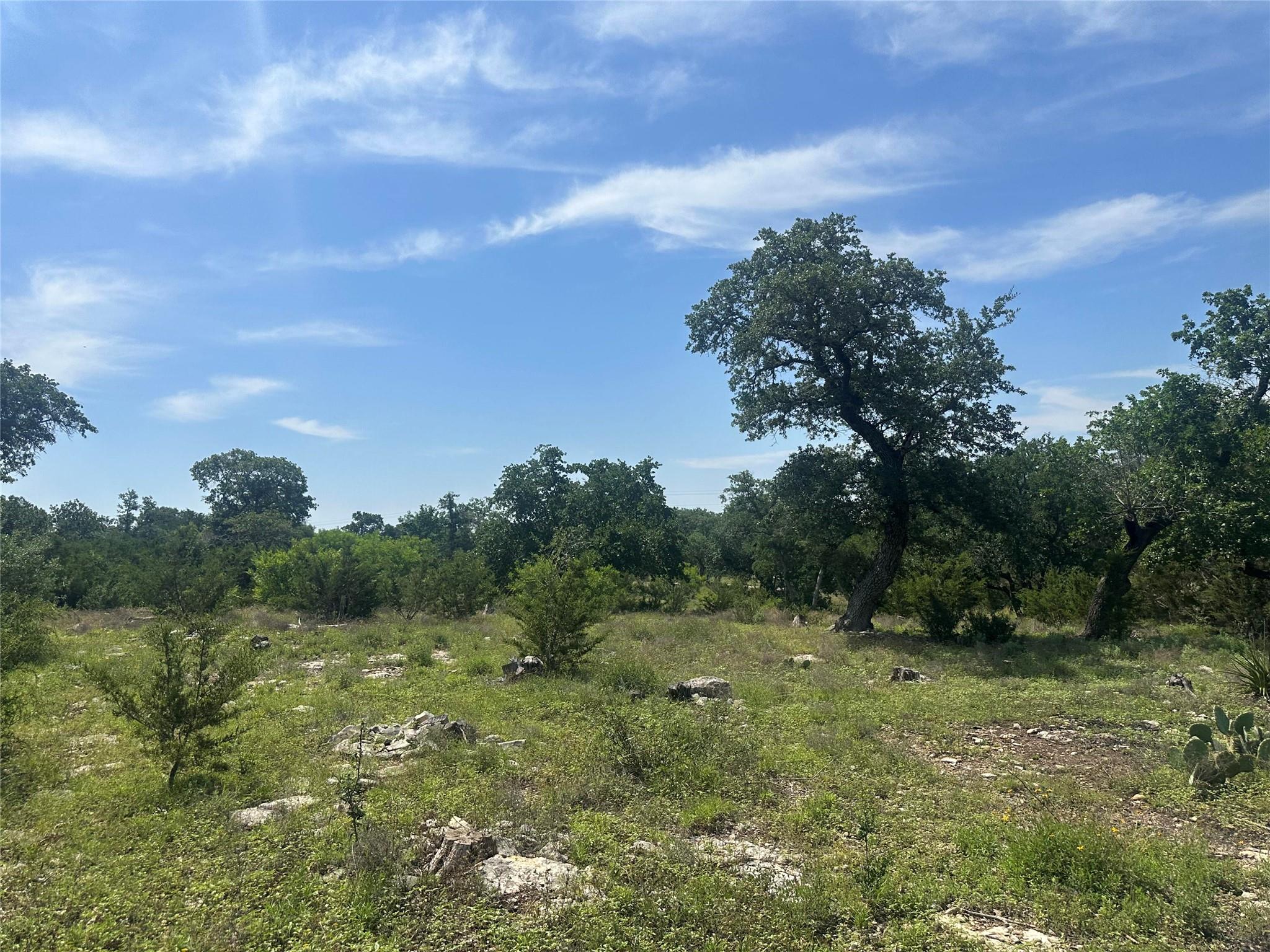 543 Narrows Rd, Blanco, TX 78606