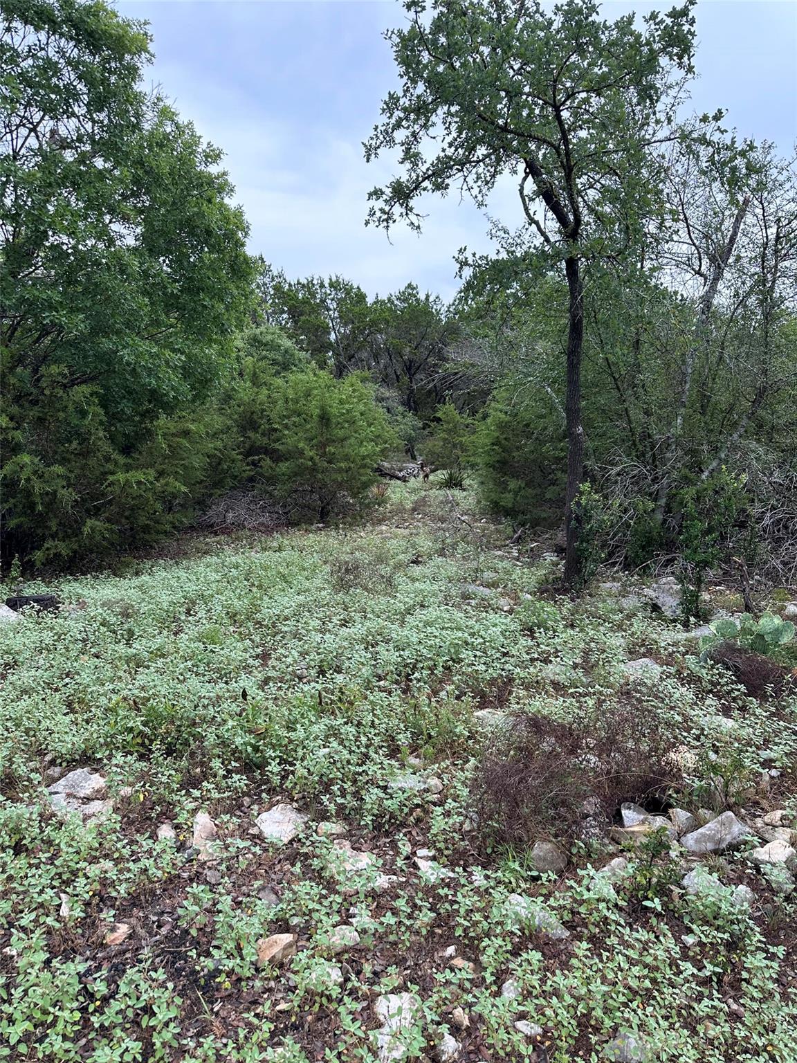 543 Narrows Rd, Blanco, TX 78606