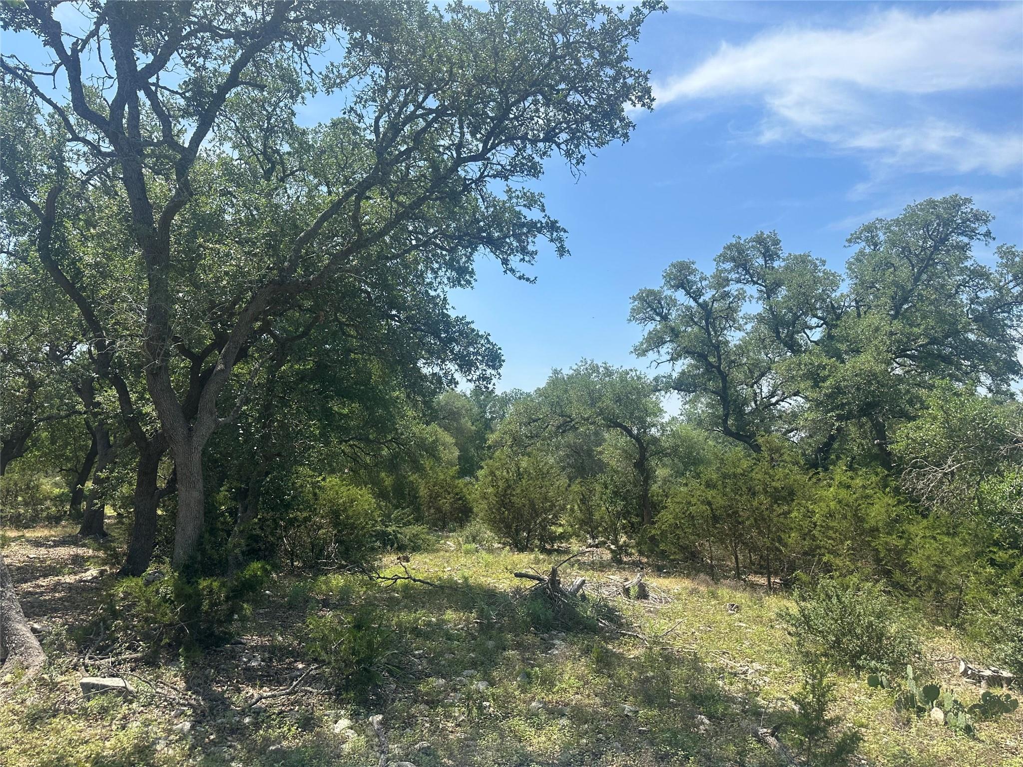 543 Narrows Rd, Blanco, TX 78606
