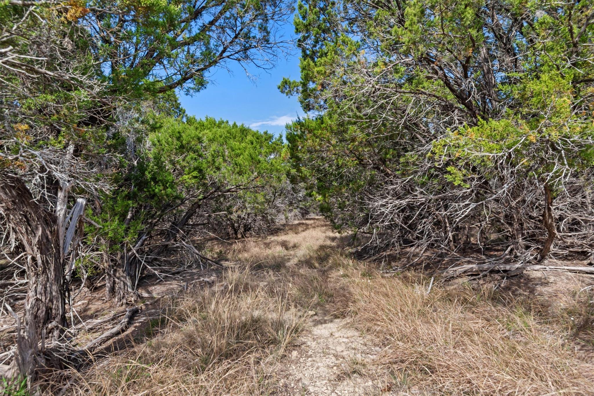 1292 Peak Ln, Killeen, TX 76542