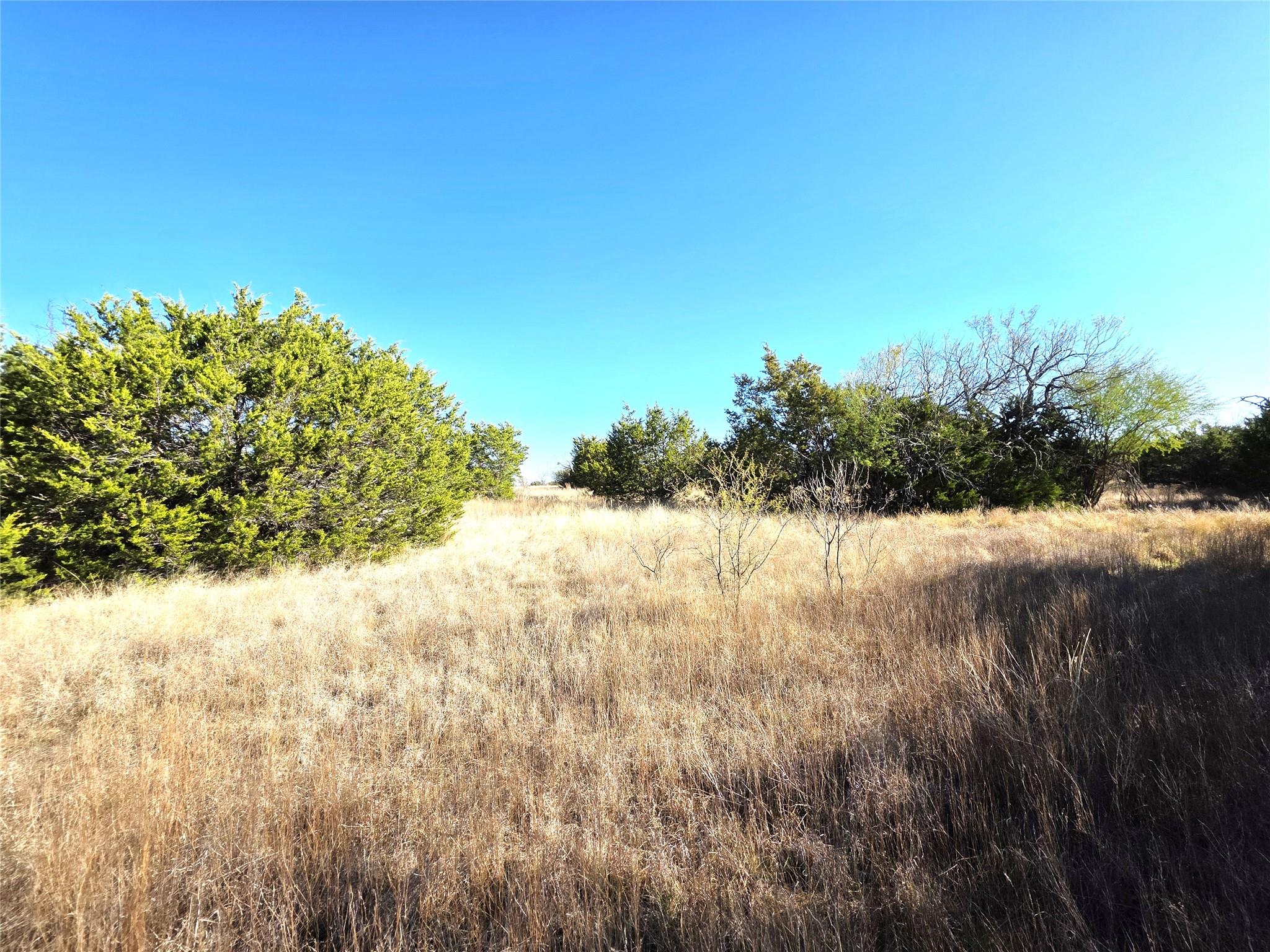 TBD Private Road 4218 Rd, Evant, TX 76525