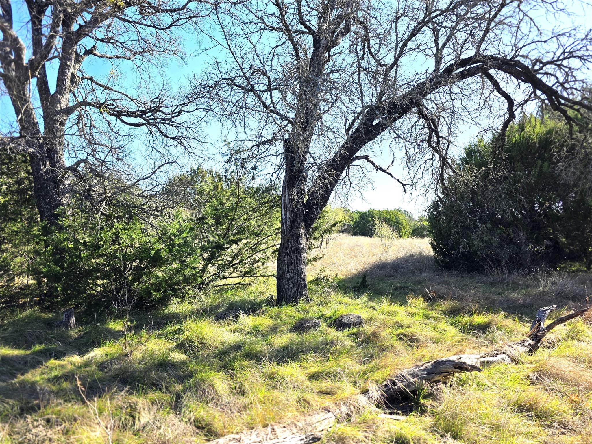 TBD Private Road 4218 Rd, Evant, TX 76525