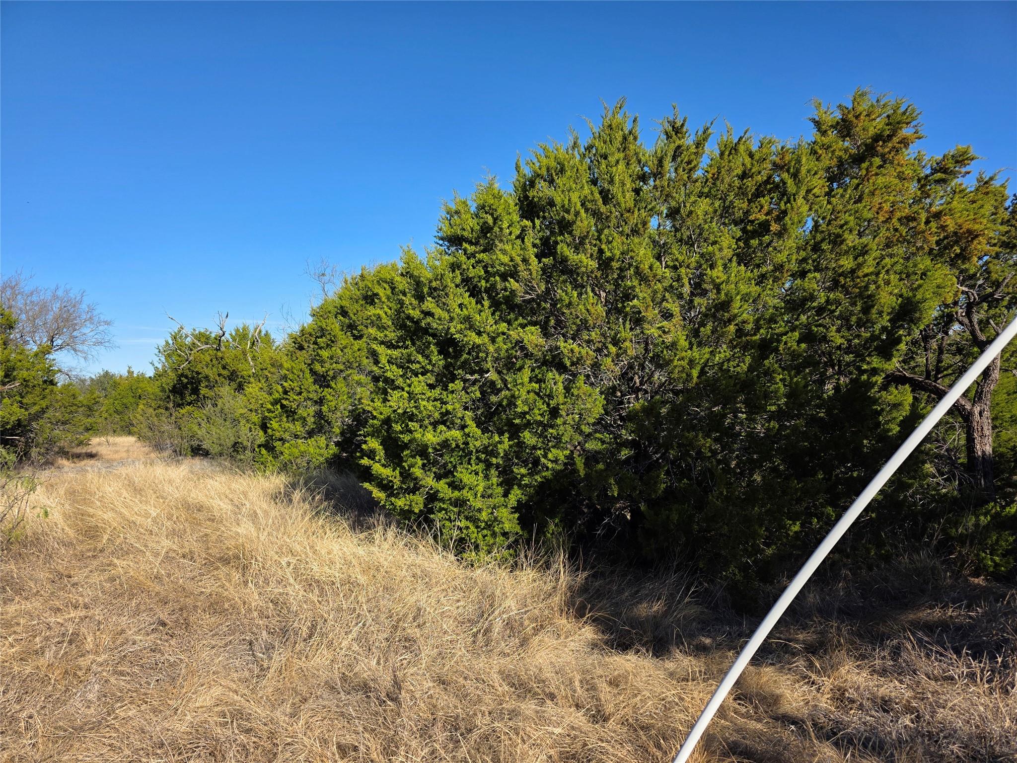 TBD Private Road 4218 Rd, Evant, TX 76525