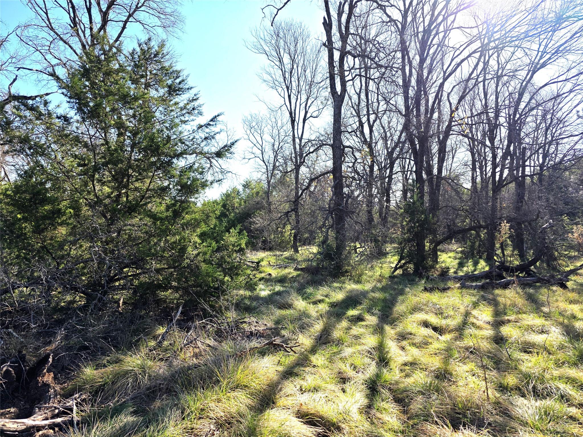 TBD Private Road 4218 Rd, Evant, TX 76525