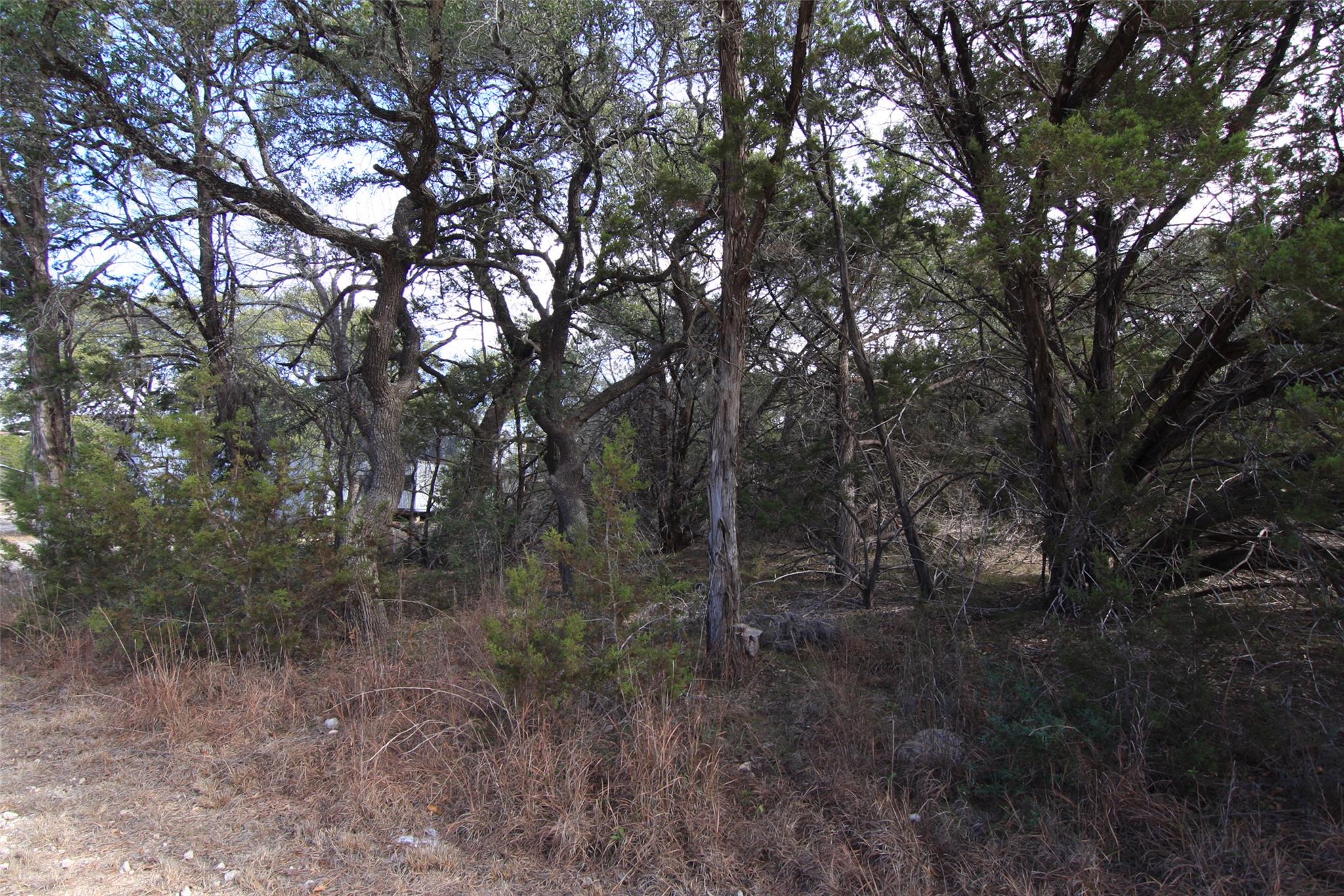 2023 Harmon Hills Rd, Dripping Springs, TX 78620