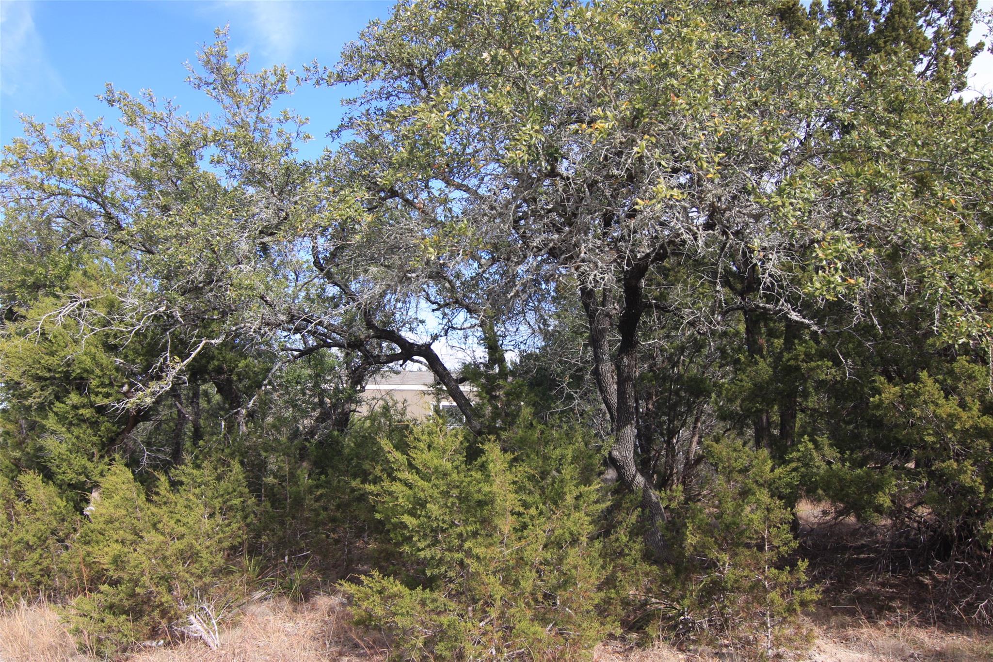 2023 Harmon Hills Rd, Dripping Springs, TX 78620