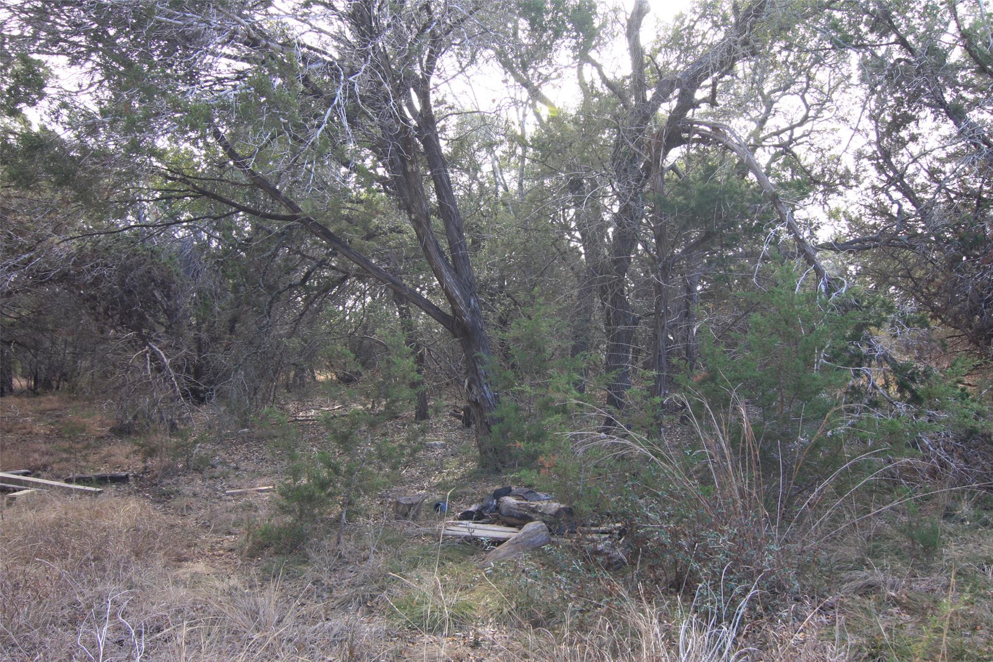 2023 Harmon Hills Rd, Dripping Springs, TX 78620