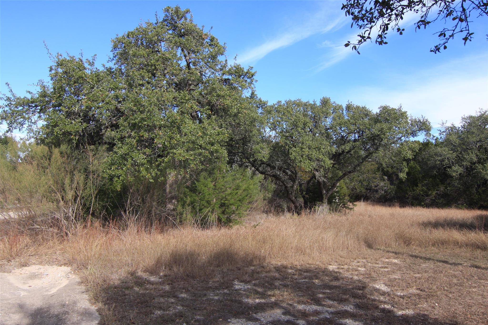 2023 Harmon Hills Rd, Dripping Springs, TX 78620