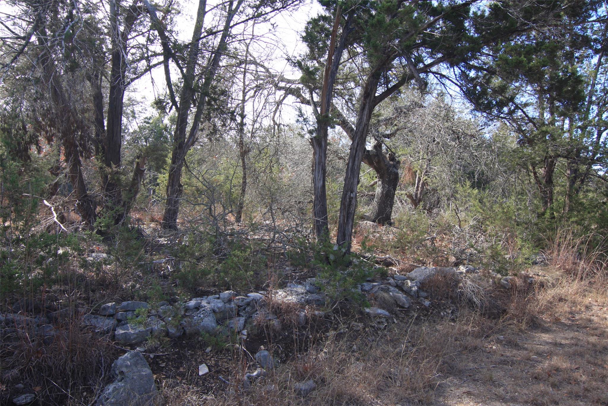 2023 Harmon Hills Rd, Dripping Springs, TX 78620