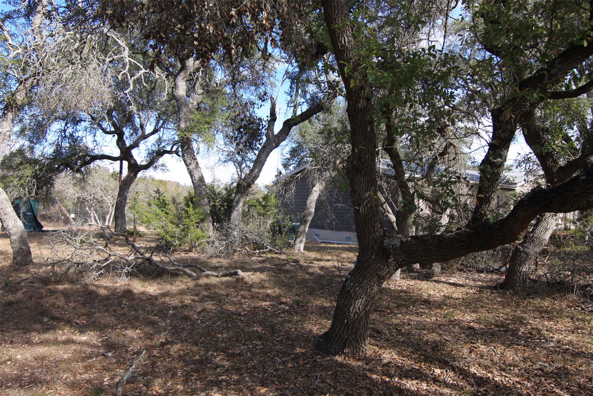 2023 Harmon Hills Rd, Dripping Springs, TX 78620