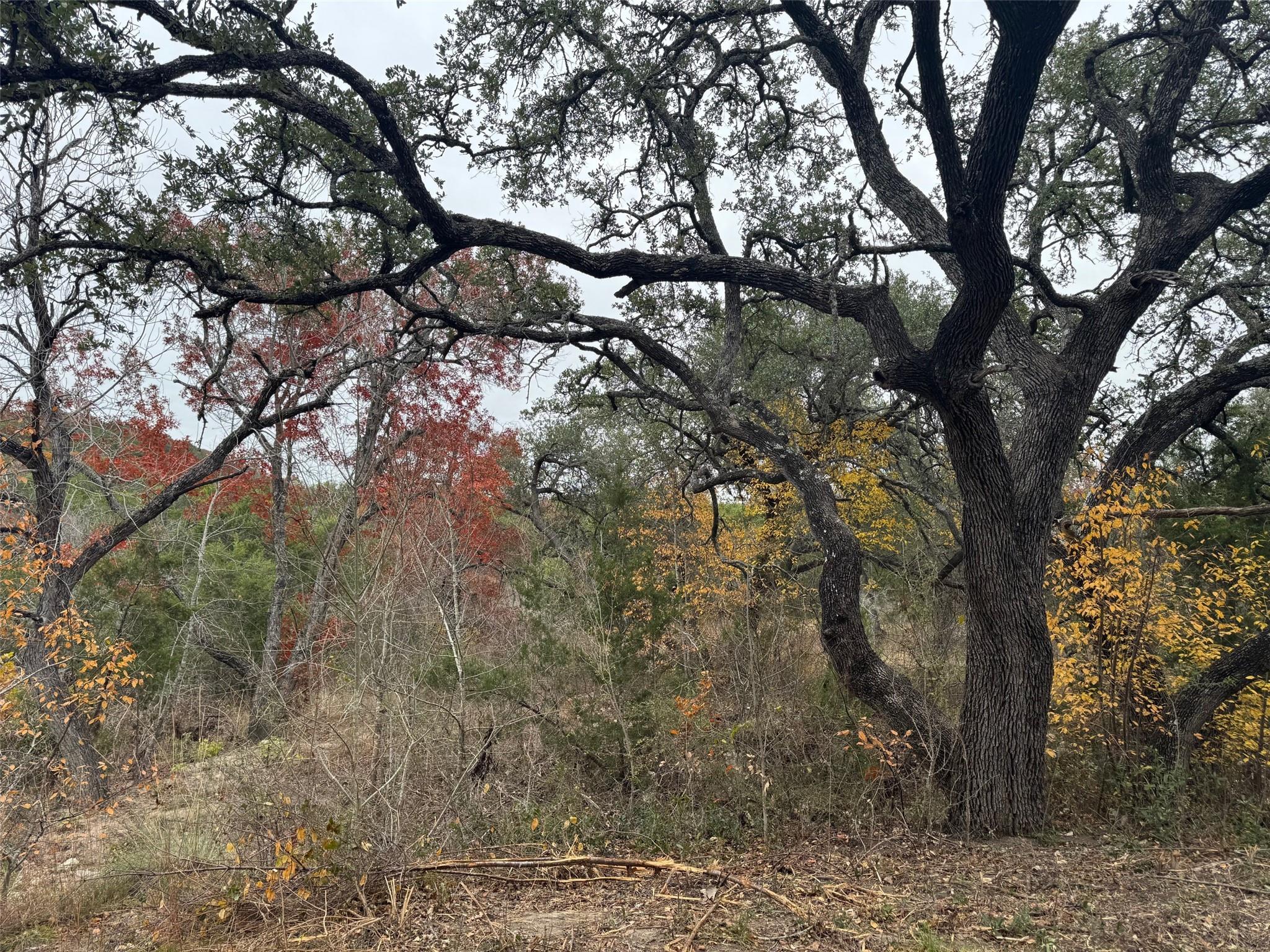 Lot 100 Montana Creek Xing, Marble Falls, TX 78654