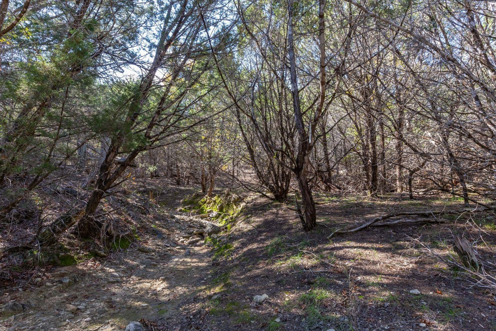 Lot 101 Montana Creek Xing, Marble Falls, TX 78654