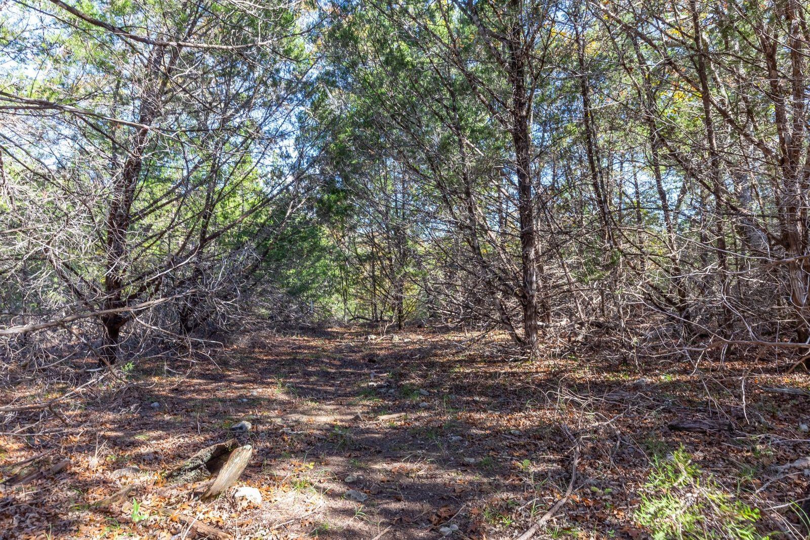 Lot 101 Montana Creek Xing, Marble Falls, TX 78654