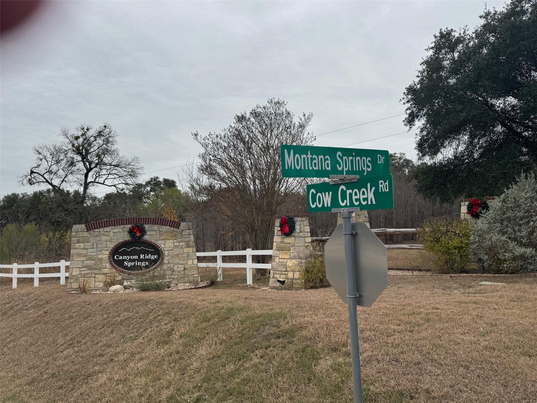 Lot 101 Montana Creek Xing, Marble Falls, TX 78654