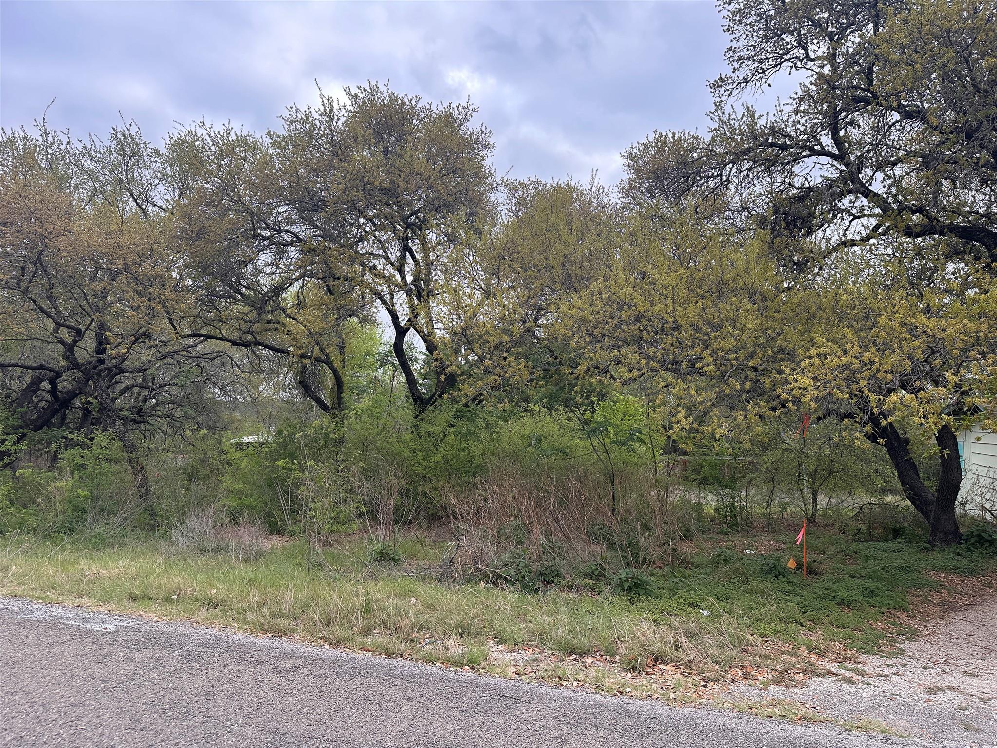 10509 W Lakeview Dr, Jonestown, TX 78645