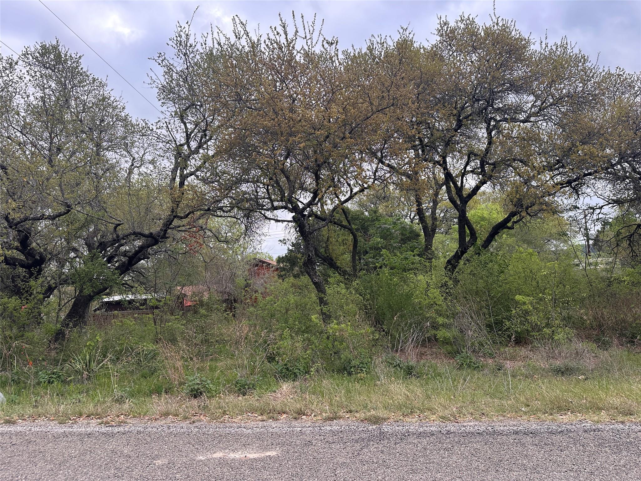 10509 W Lakeview Dr, Jonestown, TX 78645