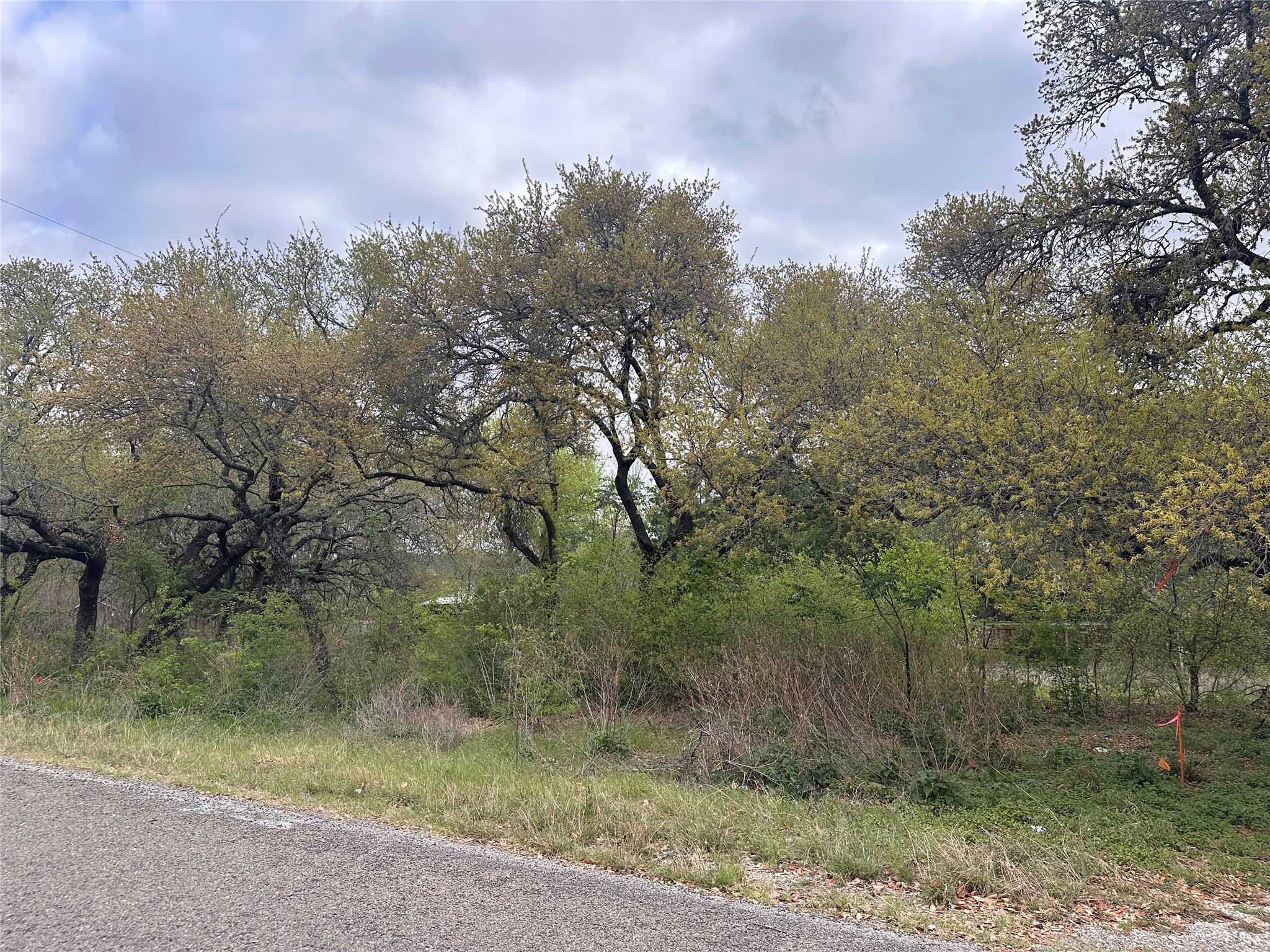 10509 W Lakeview Dr, Jonestown, TX 78645