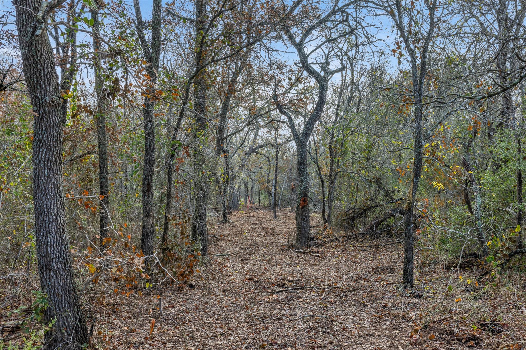 766 Bugtussle Ln, Luling, TX 78648