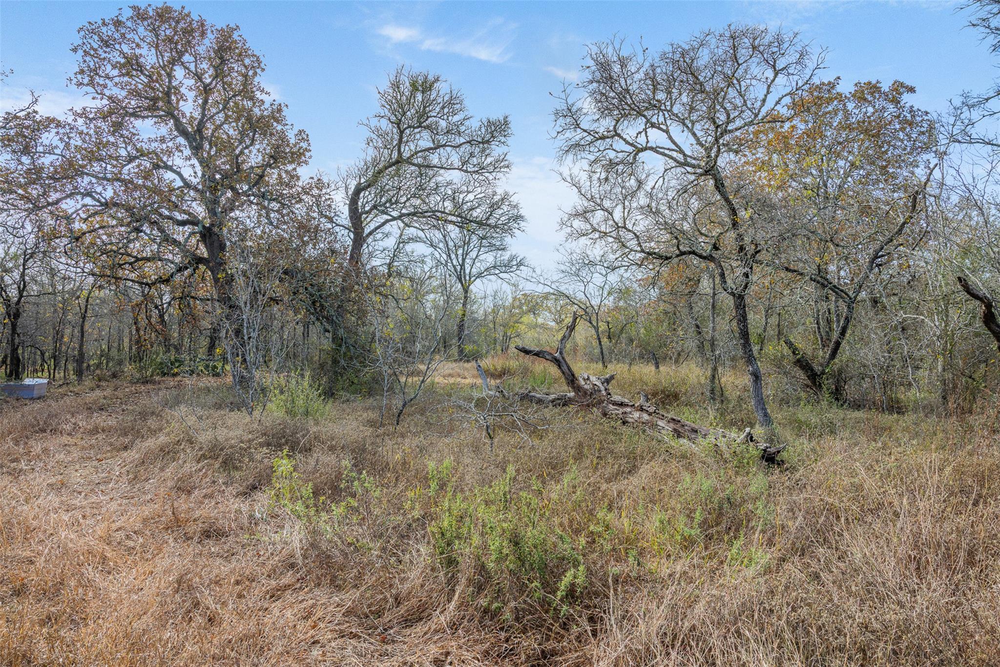 766 Bugtussle Ln, Luling, TX 78648