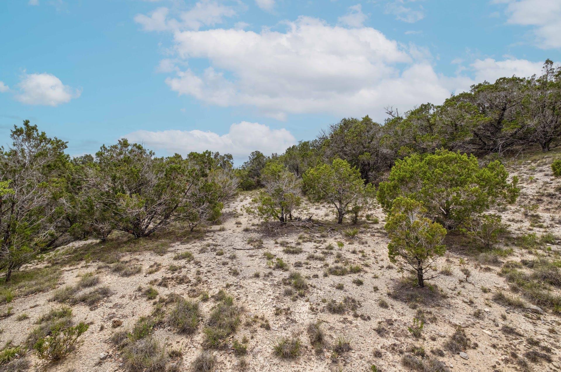 Lot 2 Shelton Ranch Rd, Dripping Springs, TX 78620