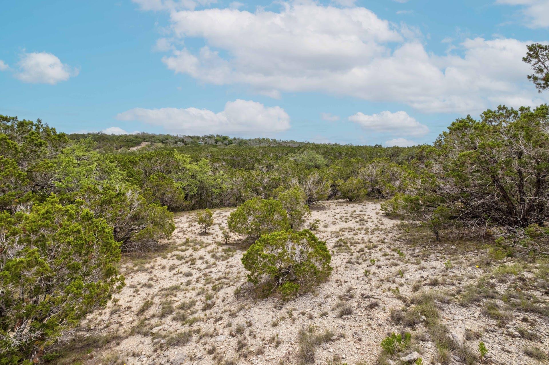 Lot 2 Shelton Ranch Rd, Dripping Springs, TX 78620