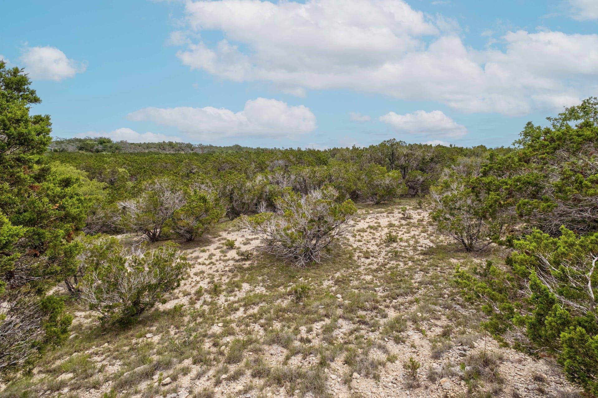Lot 2 Shelton Ranch Rd, Dripping Springs, TX 78620