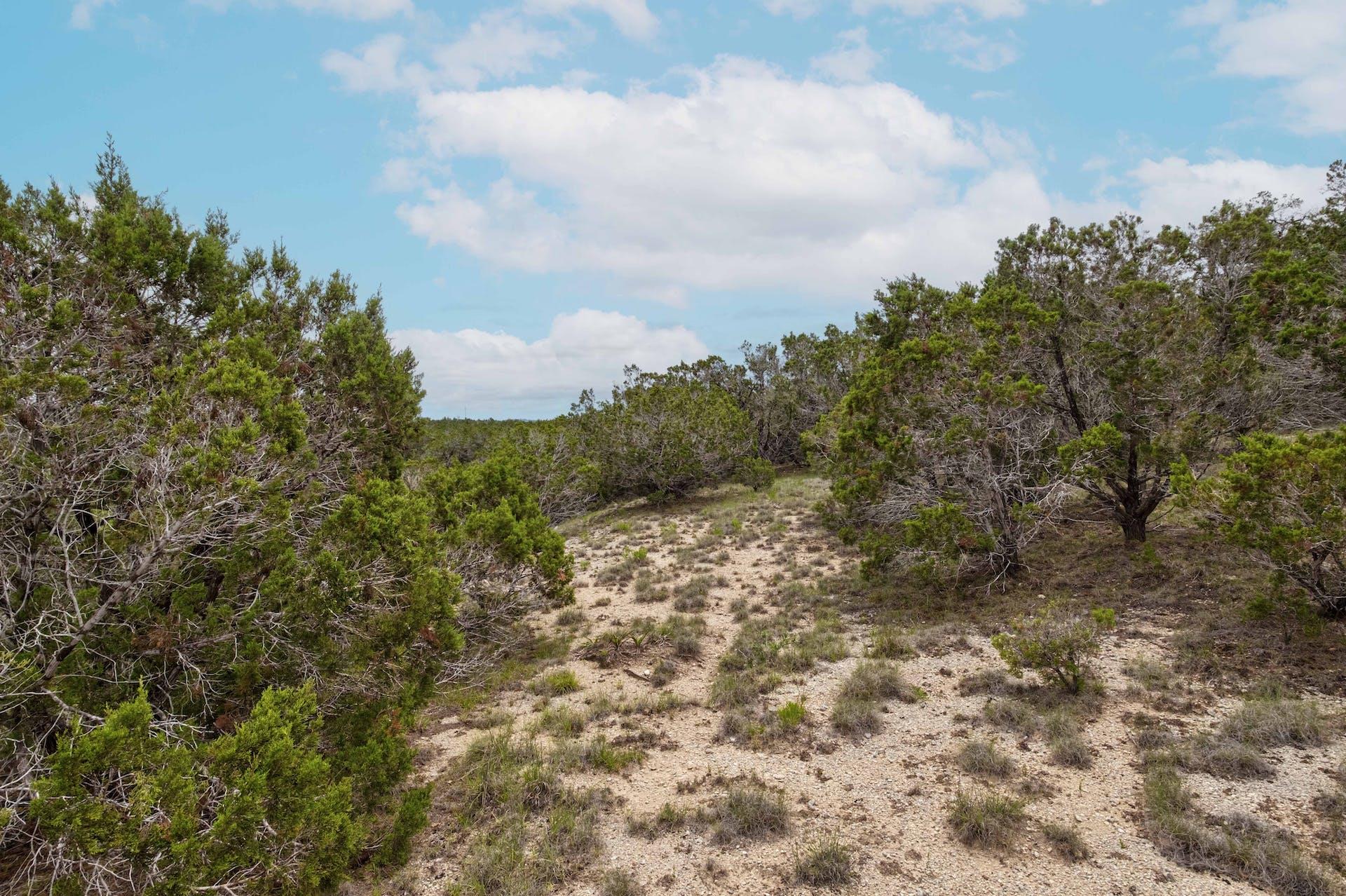 Lot 2 Shelton Ranch Rd, Dripping Springs, TX 78620