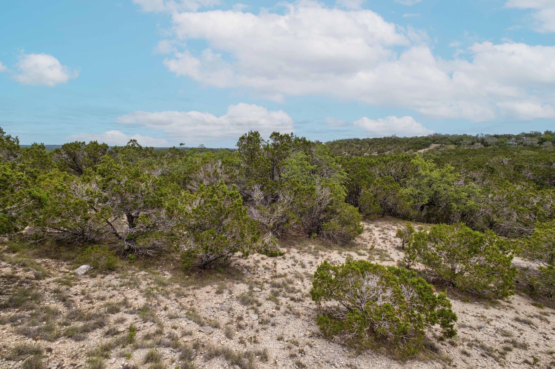 Lot 2 Shelton Ranch Rd, Dripping Springs, TX 78620