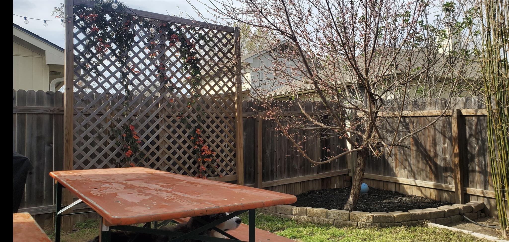 5216 Coppermead Ln, Austin, TX 78754