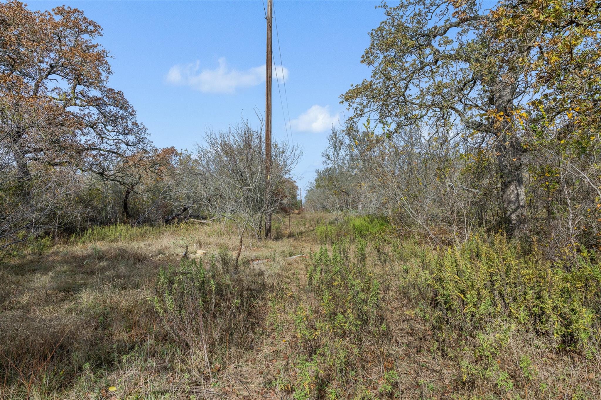 840 Bugtussle Ln, Luling, TX 78648