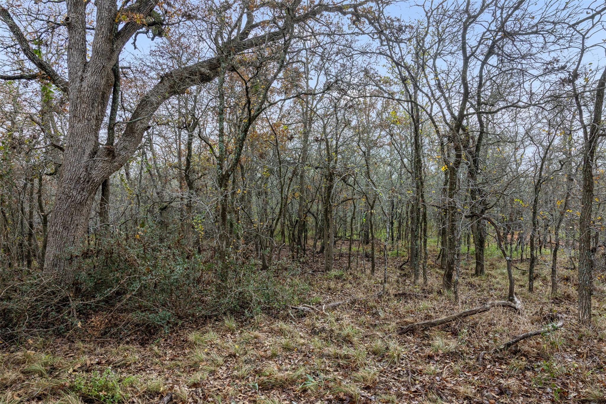 1050 Bugtussle Ln, Luling, TX 78648