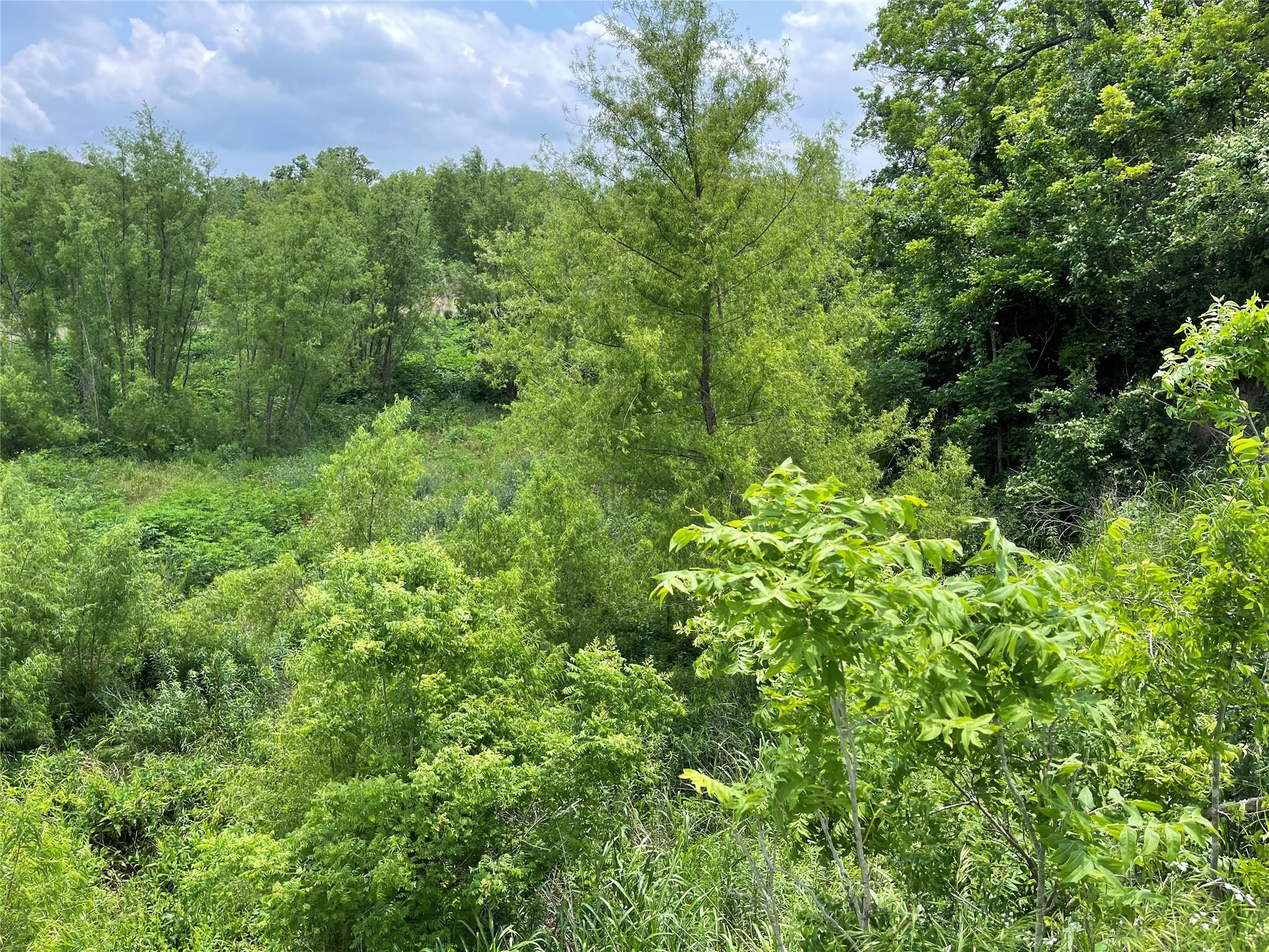 TBD County Road 2371 Rd, Meridian, TX 76665