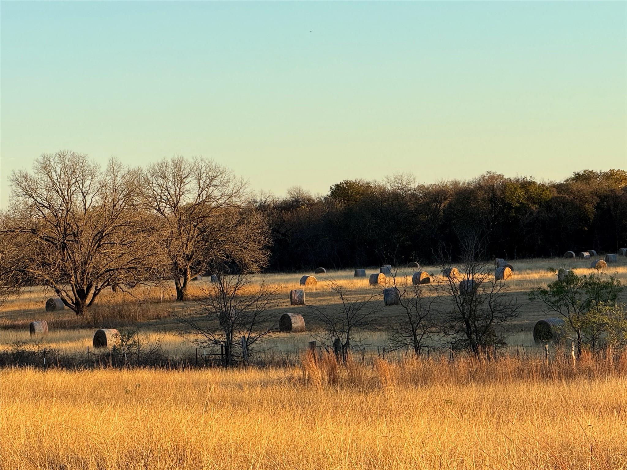 TBD County Road 2371 Rd, Meridian, TX 76665