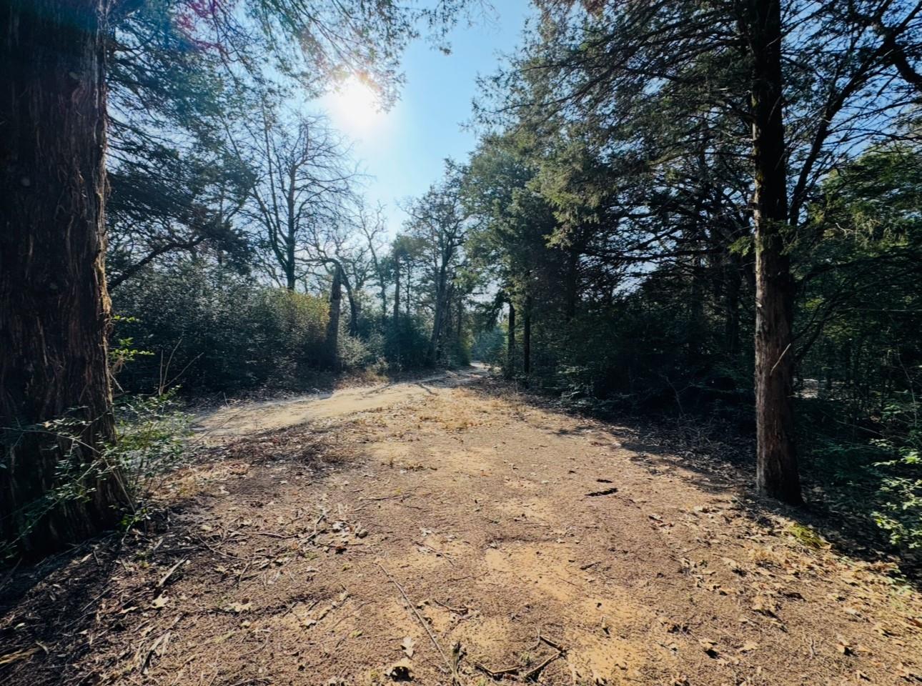 1575 County Road B Rd, Lexington, TX 78947