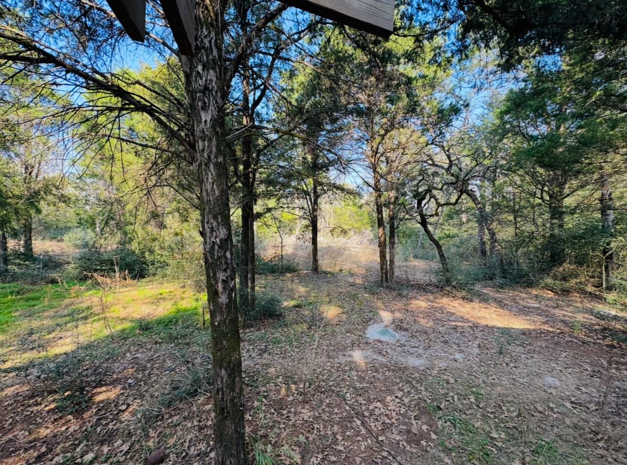 1575 County Road B Rd, Lexington, TX 78947