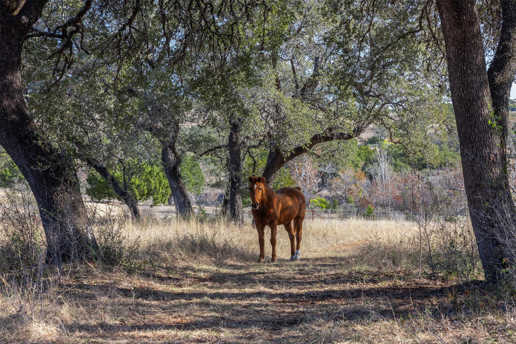 27701 Turner Ranch Rd, Marble Falls, TX 78654