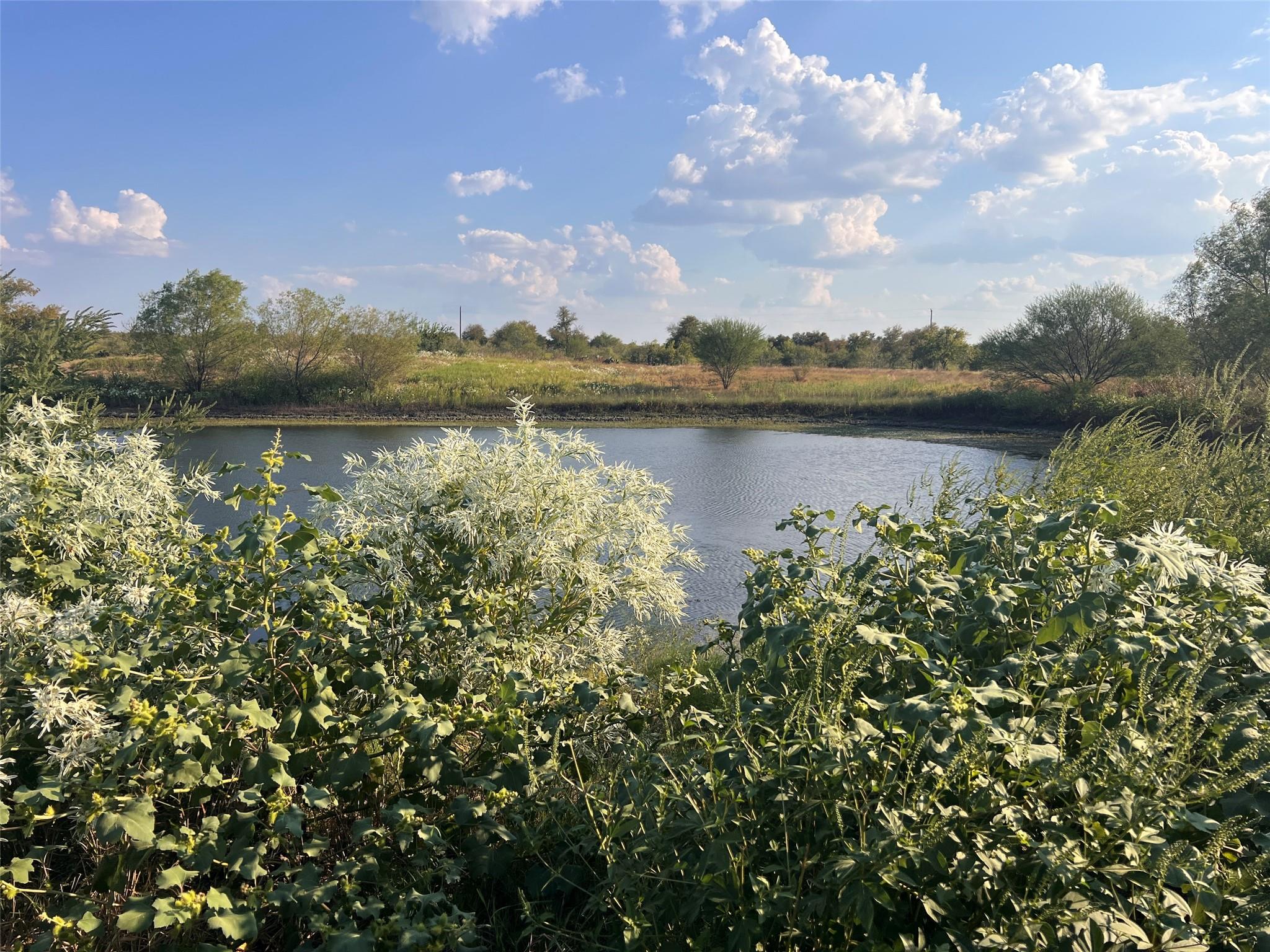 3191 County Road 463, Elgin, TX 78621