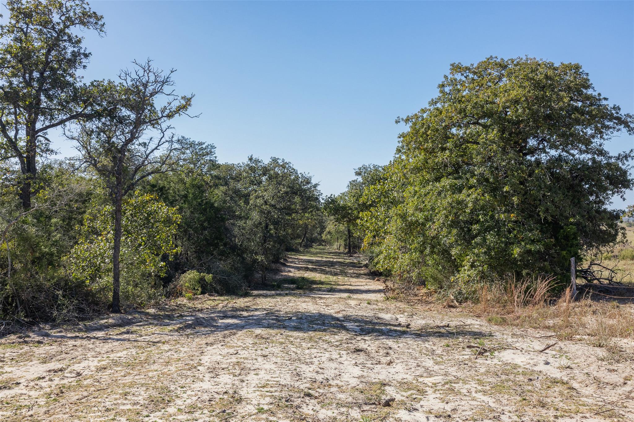 555 Altamira Ln, Dale, TX 78616
