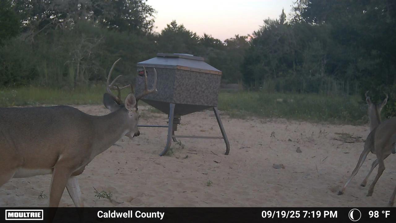 555 Altamira Ln, Dale, TX 78616